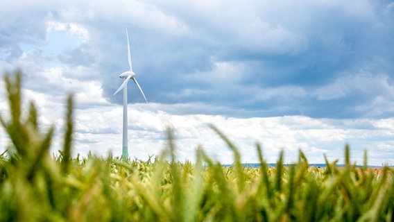 Auf einem Feld bei Sarstedt steht eine Windkraftanlage. © dpa/picture-alliance Foto: Hauke-Christian Dittrich
