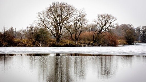 Kahle Bäume stehen bei trübem Wetter am Ufer der Koldinger Seen in der Region Hannover, dessen Wasseroberfläche teils zugefroren ist. © Moritz Frankenberg/dpa Foto: Moritz Frankenberg