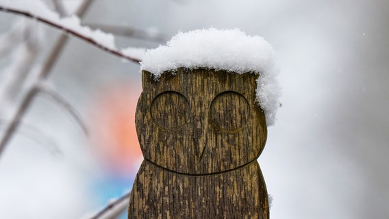 Ebstorf: Die Holzeule an einem Gartenzaun ist mit Schnee bedeckt. © dpa-Bildfunk Foto: Philipp Schulze