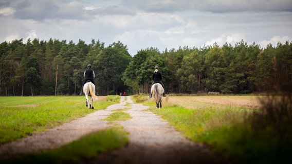 Zwei Reiter sind auf Pferden auf einem Waldweg in Richtung Burgdorfer Forst unterwegs. © dpa-Bildfunk Foto: Moritz Frankenberg