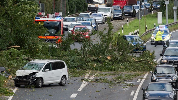 Auf dem Messeschnellweg in Hannover ist ein Pkw mit einem umgestürzten Baum kollidiert. © dpa Bildfunk Foto: Silas Stein