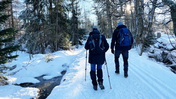 Personen nahe Braunlage-Oderbrück beim Wandern. © Jan Fragel/NDR Foto: Jan Fragel/NDR