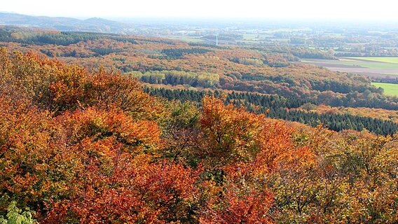 Herbstliches Panorama im Teutoburger Wald. © NDR Foto: Claus Halstrup