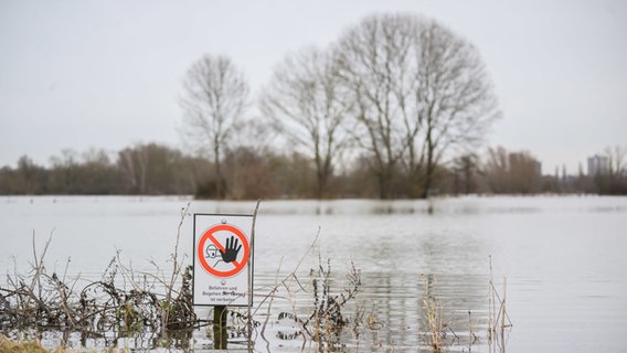 Ein Schild mit der Aufschrift "Befahren und Begehen der Wiese ist verboten" steht an einer überfluteten Wiese an der Leinemasch. © dpa Foto: Julian Stratenschulte