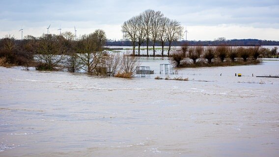 Die Weser führt im Landkreis Nienburg/Weser Hochwasser. © dpa Foto: Moritz Frankenberg