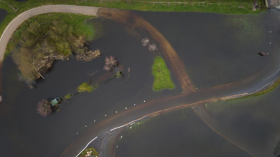 Flächen vom Serengeti-Park sind teilweise von Wasser überflutet (Aufnahme mit einer Drohne). © dpa Foto: Philipp Schulze