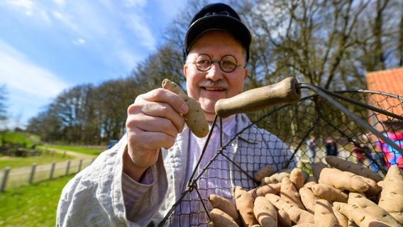 Torsten Riebesel, Mitarbeiter im Freilichtmuseum am Kiekeberg, hält die Kartoffel des Jahres, den "Angeliter Tannenzapfen" in der Hand. © dpa Foto: Torsten Riebesel