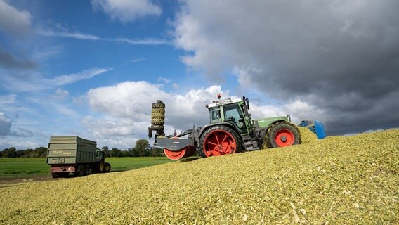 Ein Trecker fährt bei der Ernte über ein Feld. © picture alliance / Countrypixel | FRP 