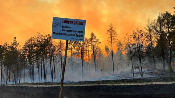Rauch und Flammen steigen aus einem Wald·gebiet. © picture alliance/dpa Foto: Thomas Schulz