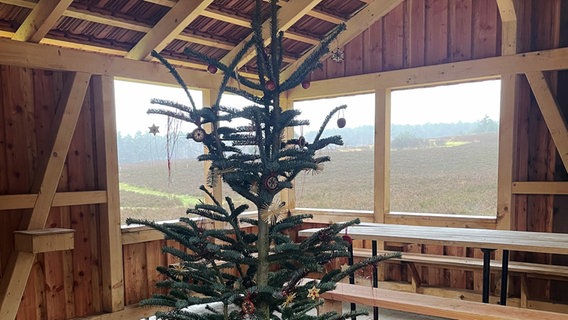In einer Schutzhütte in Amelinghausen steht ein Weihnachtsbaum. © Landjugend Amelinghausen 