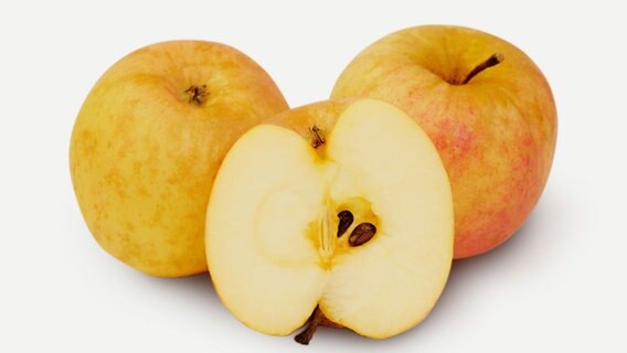 Äpfel der Sorte "Holländer Prinz" © Pomologen-Verein e.V. Foto: Ulrich Kubina