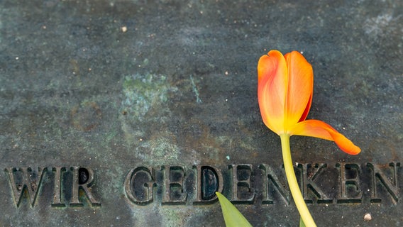 Eine Tulpe liegt auf einem Stein mit der Aufshcrift 'Wir Gedenken'. © dpa-Bildfunk Foto:  Philipp Schulze/dpa
