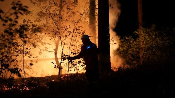 Eine Einsatzkraft der Feuerwehr löscht in einem Wald. © Carsten Schmidt/Feuerwehr Bleckede/dpa Foto: Carsten Schmidt