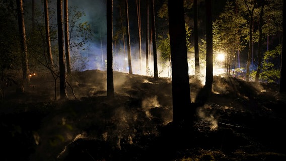 Waldboden raucht nach einem Brand. © Carsten Schmidt/Feuerwehr Bleckede/dpa Foto: Carsten Schmidt