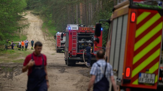 Einsatzkräfte der Feuerwehr stehen an einem Waldrand. © Philipp Schulze/dpa Foto: Philipp Schulze