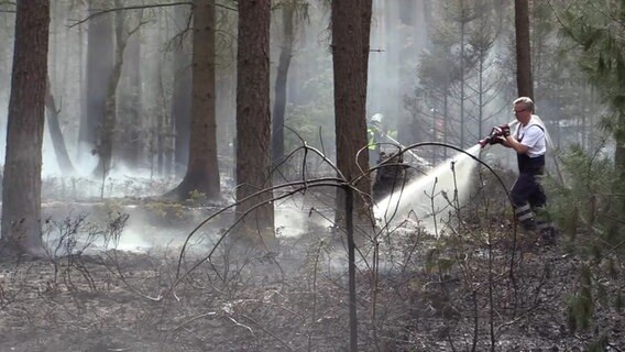 Einsatzkräfte der Feuerwehr löschen einen Waldbrand. © TV Elbnews 