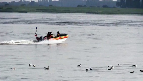 Ein Boot der DLRG bei einem EInsatz auf der Elbe. © TV-Elbnews 