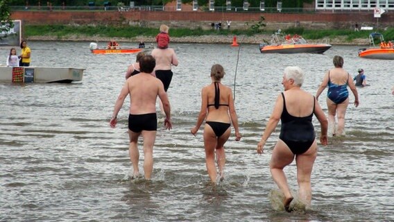 Menschen waten durch die Elbe. © NDR Foto: Marie Elane Schulz