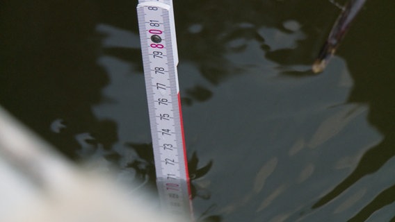 In Neu Darchau wird mit einem Zollstock den Pegelstand der Elbe gemessen. Der Zollstock zeigt 71 Zentimeter. © NDR 