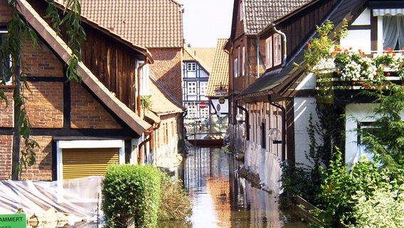 Hochwasser, Hitzacker, 2002, Elbe, Elbhochwasser  