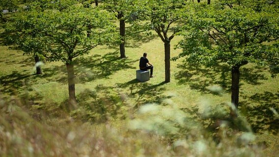 Ein Mann sitzt in der Gedenkstätte des ICE-Unglücks von Eschede auf einem Stein unter Kirschbäumen. © dpa Foto: Gregor Fischer