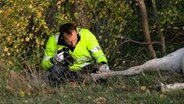 Nach einem Unfall werden an einem Pferd mittels Kamera Spuren gesichert. © TV Elbnews Foto: TV Elbnews