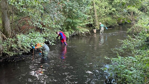 Helfer bergen tote Fische aus dem Lopausee. © Samtgemeinde Amelinghausen 