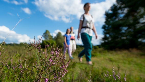 Touristen gehen nahe Amelinghausen durch eine Heidelandschaft. © picture alliance/dpa Foto: Philipp Schulze