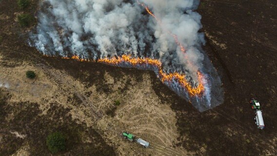 Eine Heidefläche brennt bei Bispingen, nachdem sie kontrolliert angesteckt worden ist (Aufnahme mit einer Drohne). © dpa Foto: Philipp Schulze