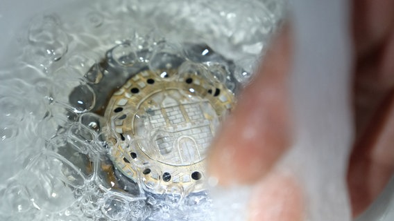 Ein Wasserstöpsel in Form eines Hamburger Gullideckels ist in einem Waschbecken zu sehen. © picture alliance/dpa/Marcus Brandt Foto: Marcus Brandt