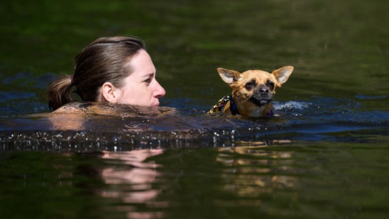 Eine Frau und ein Hund schwimmen im Wasser. © Philipp Schulze/dpa Foto: Philipp Schulze