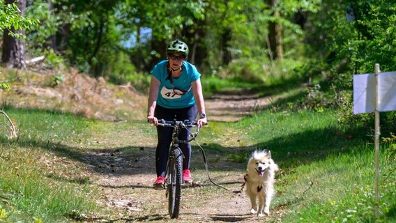 Eine Frau fährt mit einem Hund an der Leine Fahrrad. © Philipp Schulze/dpa Foto: Philipp Schulze