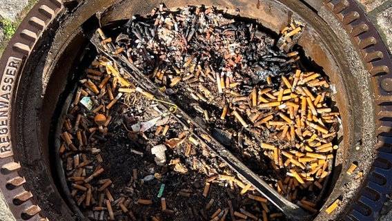 Zigarettenkippen liegen in einem Gully. © HANSESTADT LÜNEBURG 