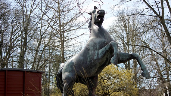 Das Bild zeigt eine Pferdestatue in Lüneburg. © NDR Foto: Lars Gröning