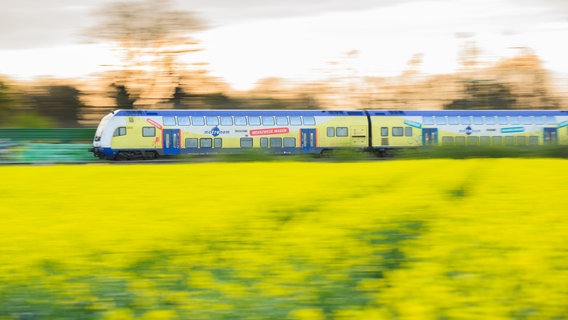 Eine Bahn von Metronom fährt an einem blühenden Rapsfeld in der Region Hannover vorbei. © picture alliance/dpa | Julian Stratenschulte Foto: Julian Stratenschulte