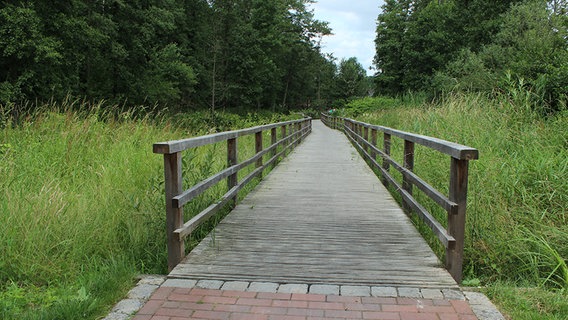 Eine Holzbrücke führt in die Ferne. © NDR Foto: Ina Kast