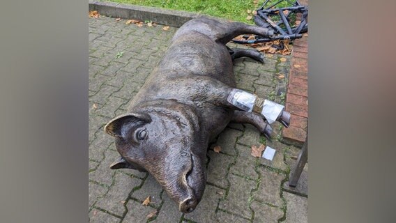 Eine bronzene Schweine-Statue liegt auf der Seite. © Polizeiinspektion Lüneburg Foto: Polizeiinspektion Lüneburg