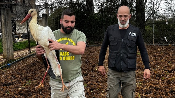 Ein angeschossener Storch wird von Pflegern getragen. © Komitee gegen den Vogelmord Bonn 