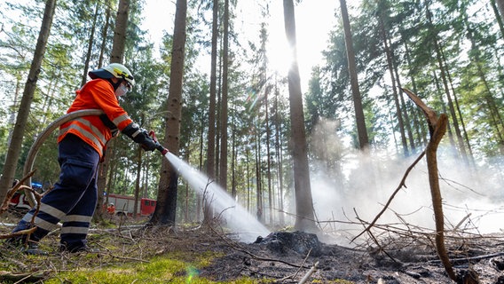 Ein Feuerwehrmann löscht bei einem Waldbrand. © dpa-Bildfunk Foto: Philipp Schulze