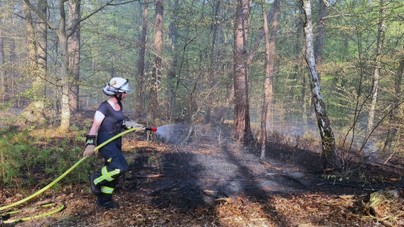 Ein Feuer in einem Wald wird gelöscht. © Kreisfeuerwehrverband Lüchow-Dannenberg e.V. 
