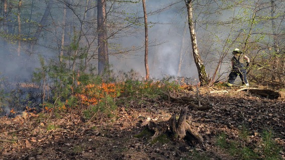 Ein Feuer in einem Wald wird gelöscht. © Kreisfeuerwehrverband Lüchow-Dannenberg e.V. 
