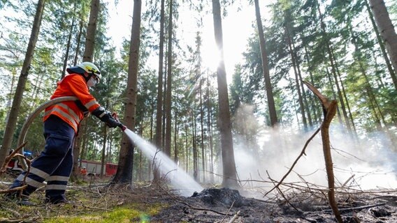 Ein Feuerwehrmann löscht bei einem Waldbrand. © Philipp Schulze/dpa Foto: Philipp Schulze