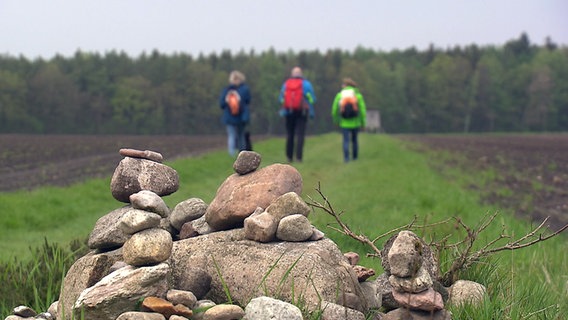 Wanderer laufen auf dem Wanderweg Dör't Moor. © NDR 