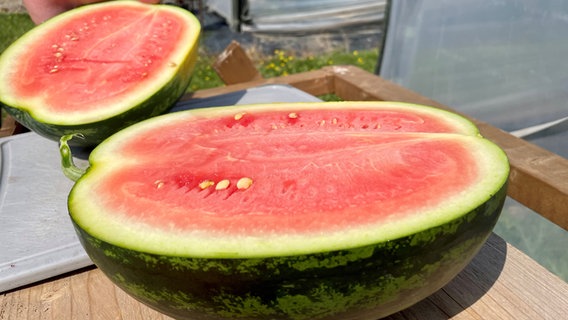 Eine Wassermelone wurde in der Mitte aufgeschnitten. © NDR 