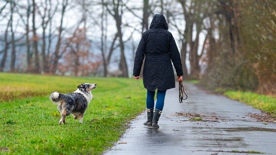 Eine Frau geht mit ihrer Hündin im Regen spazieren. © dpa-Bildfunk Foto: Philipp Schulze