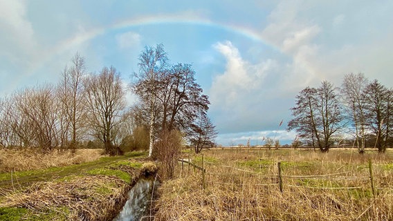 Heute Nachmittag im Ostmoor von Buxtehude erschien zwischen all den Wolken plötzlich ein leicht vernebelter Regenbogen © NDR Foto: Dörte Breuer