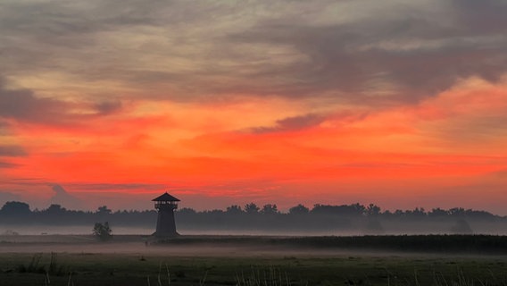 Der Klaus-Bahlsen-Turm in Gartow ist bei Sonnenaufgang umgeben von leichtem Bodennebel. © NDR Foto: Tom Fiedler