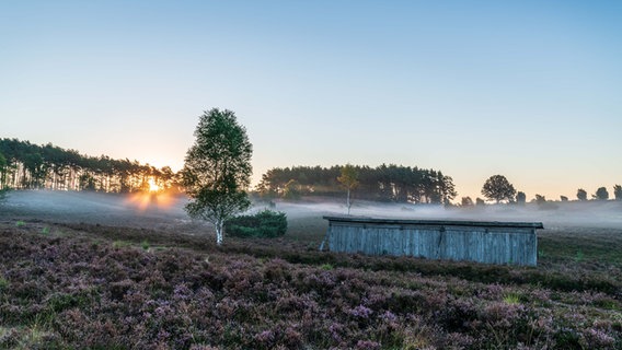 Sonnenaufgang in der Lüneburger Heide. © NDR Foto: Dennis Karjetta