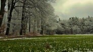 Eine Wiese grenzt an einen Wald bei Amelinghausen und die Wiese und die Bäume sind mit einer dünnen Schicht Schnee bedeckt. © NDR Foto: Renate Hoffrichter