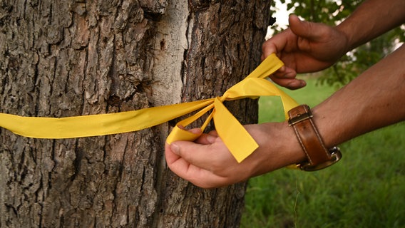 Ein gelbes Band wird um einen Baum gewickelt. © ZEHN Foto: Maren Schulze